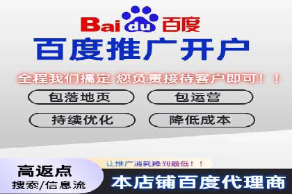 金融行业SEM服务的创新应用与效果